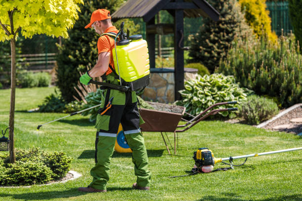 Best Pest Exclusion Services  in Waverly, OH